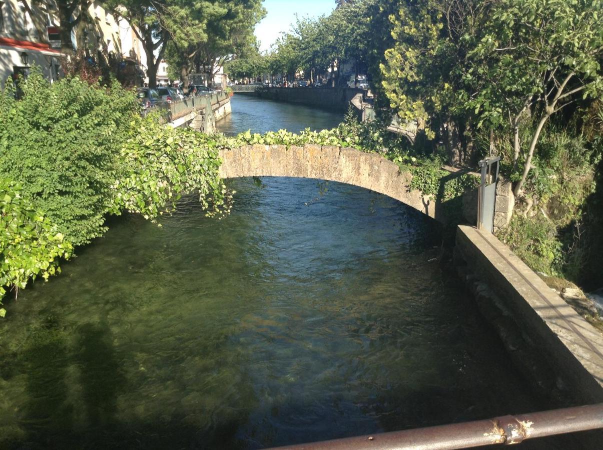 Appartamento Les Lauriers LʼIsle-sur-la-Sorgue Esterno foto